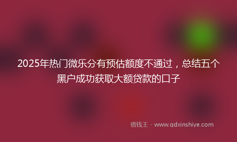2025年热门微乐分有预估额度不通过，总结五个黑户成功获取大额贷款的口子
