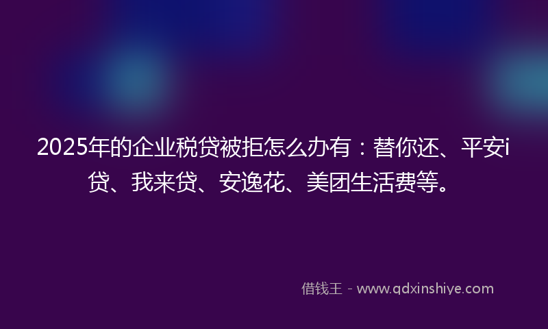 2025年的企业税贷被拒怎么办有：替你还、平安i贷、我来贷、安逸花、美团生活费等。