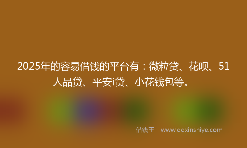 2025年的容易借钱的平台有：微粒贷、花呗、51人品贷、平安i贷、小花钱包等。