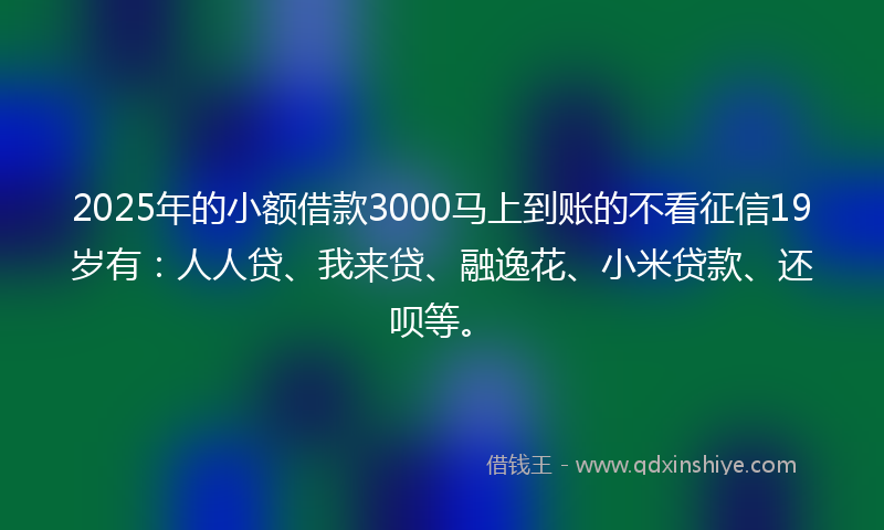 2025年的小额借款3000马上到账的不看征信19岁有：人人贷、我来贷、融逸花、小米贷款、还呗等。