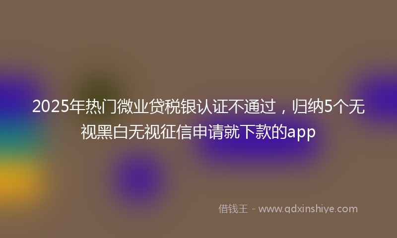 2025年热门微业贷税银认证不通过，归纳5个无视黑白无视征信申请就下款的app