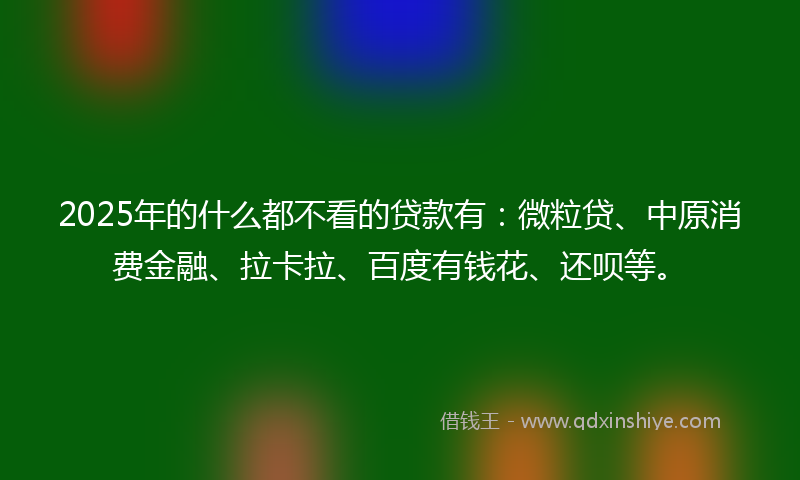 2025年的什么都不看的贷款有：微粒贷、中原消费金融、拉卡拉、百度有钱花、还呗等。