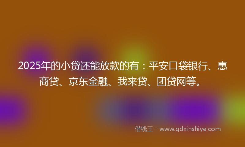 2025年的小贷还能放款的有：平安口袋银行、惠商贷、京东金融、我来贷、团贷网等。