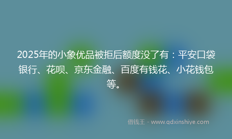 2025年的小象优品被拒后额度没了有：平安口袋银行、花呗、京东金融、百度有钱花、小花钱包等。