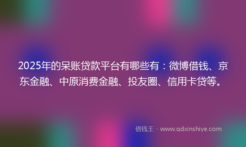 2025年的呆账贷款平台有哪些有：微博借钱、京东金融、中原消费金融、投友圈、信用卡贷等。