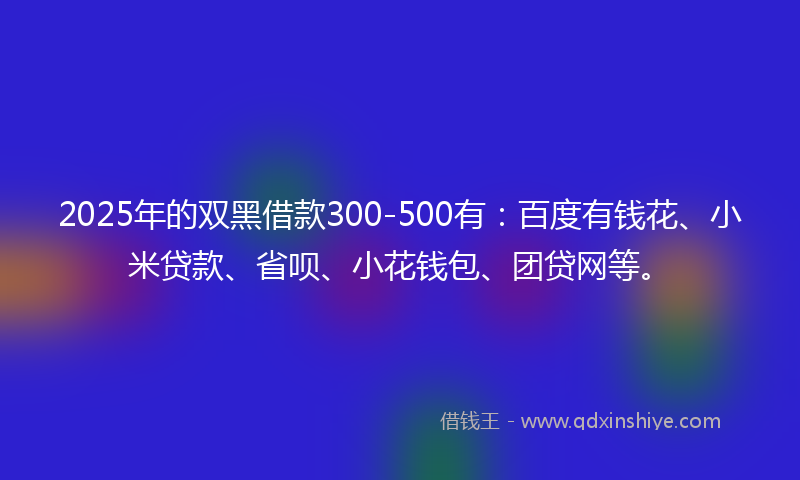 2025年的双黑借款300-500有：百度有钱花、小米贷款、省呗、小花钱包、团贷网等。