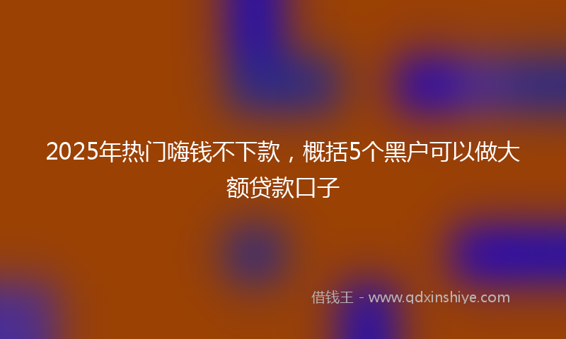 2025年热门嗨钱不下款，概括5个黑户可以做大额贷款口子