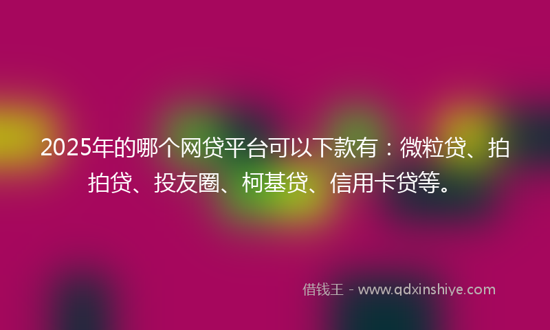 2025年的哪个网贷平台可以下款有：微粒贷、拍拍贷、投友圈、柯基贷、信用卡贷等。