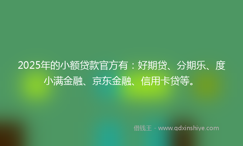 2025年的小额贷款官方有：好期贷、分期乐、度小满金融、京东金融、信用卡贷等。
