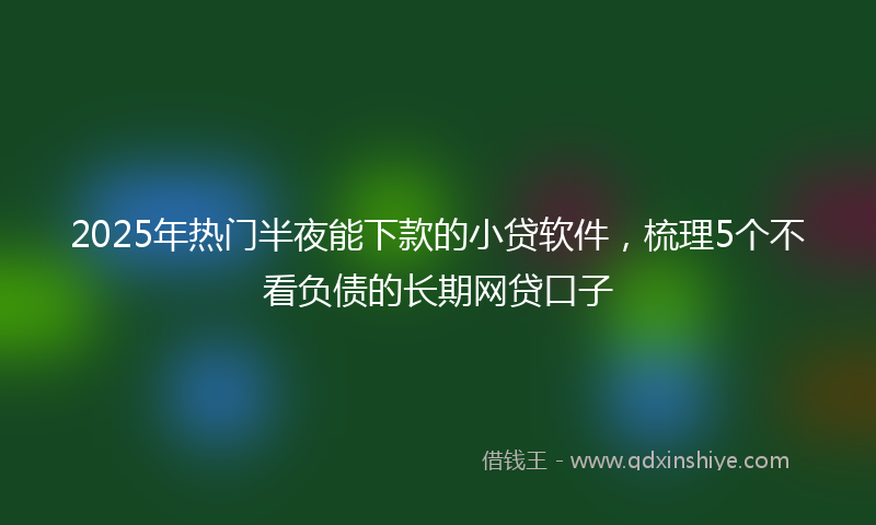 2025年热门半夜能下款的小贷软件，梳理5个不看负债的长期网贷口子