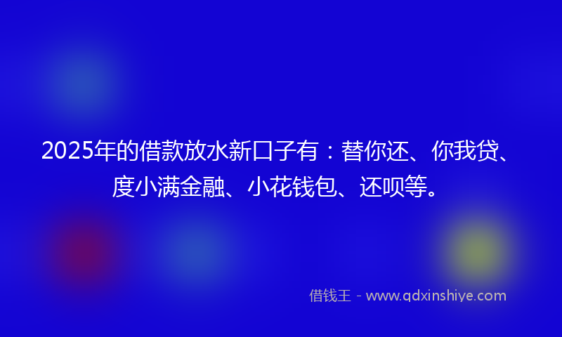 2025年的借款放水新口子有：替你还、你我贷、度小满金融、小花钱包、还呗等。
