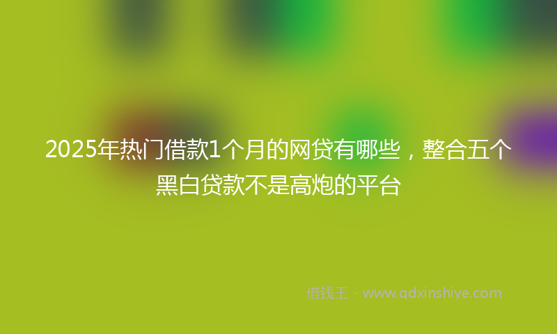 2025年热门借款1个月的网贷有哪些，整合五个黑白贷款不是高炮的平台