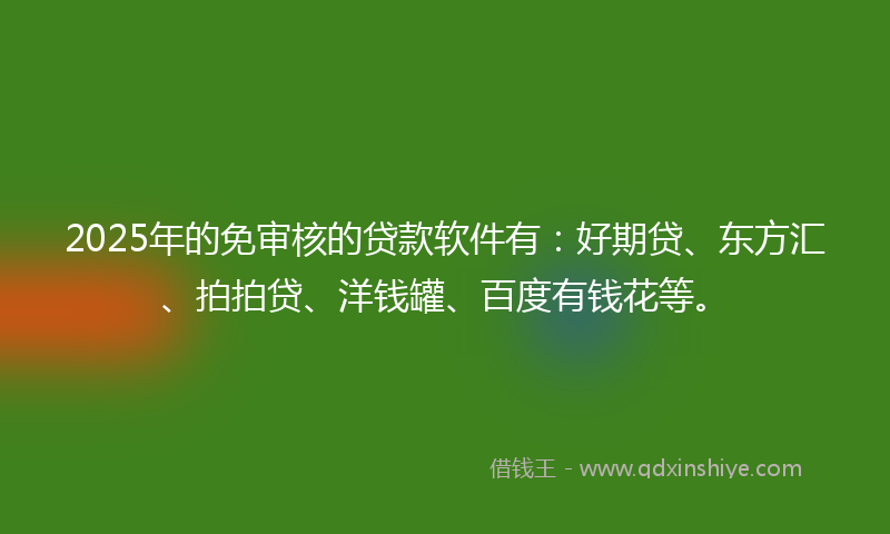 2025年的免审核的贷款软件有：好期贷、东方汇、拍拍贷、洋钱罐、百度有钱花等。