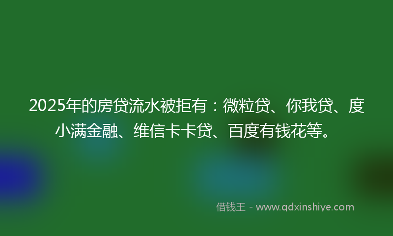 2025年的房贷流水被拒有：微粒贷、你我贷、度小满金融、维信卡卡贷、百度有钱花等。