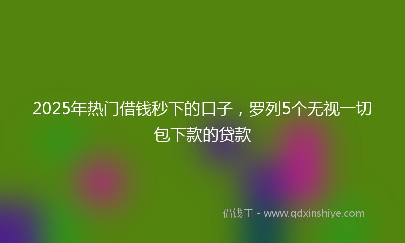2025年热门借钱秒下的口子，罗列5个无视一切包下款的贷款
