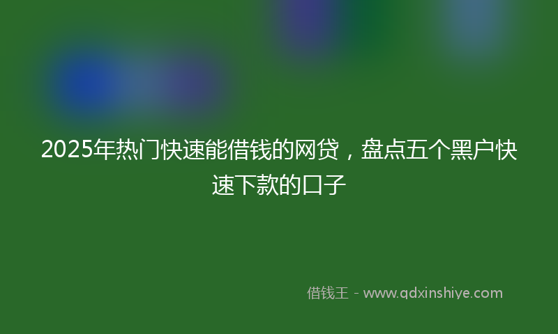 2025年热门快速能借钱的网贷，盘点五个黑户快速下款的口子