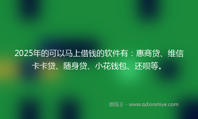 2025年的可以马上借钱的软件有：惠商贷、维信卡卡贷、随身贷、小花钱包、还呗等。