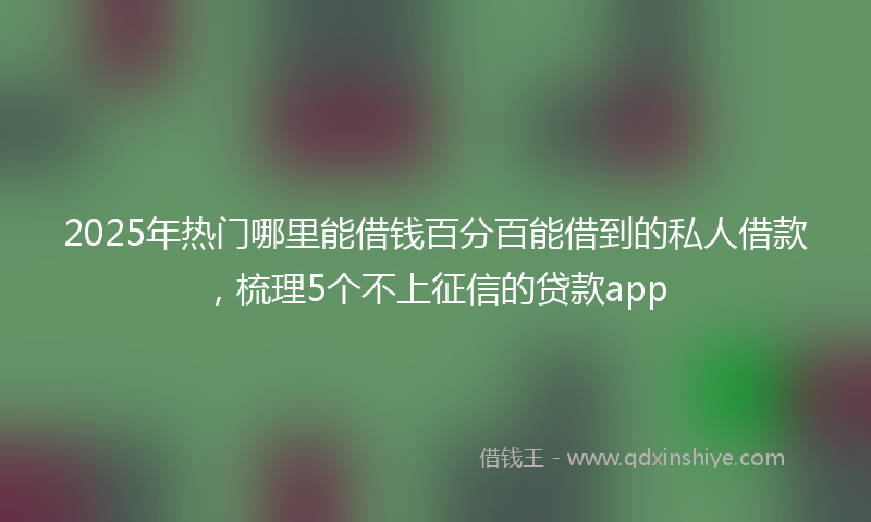 2025年热门哪里能借钱百分百能借到的私人借款，梳理5个不上征信的贷款app