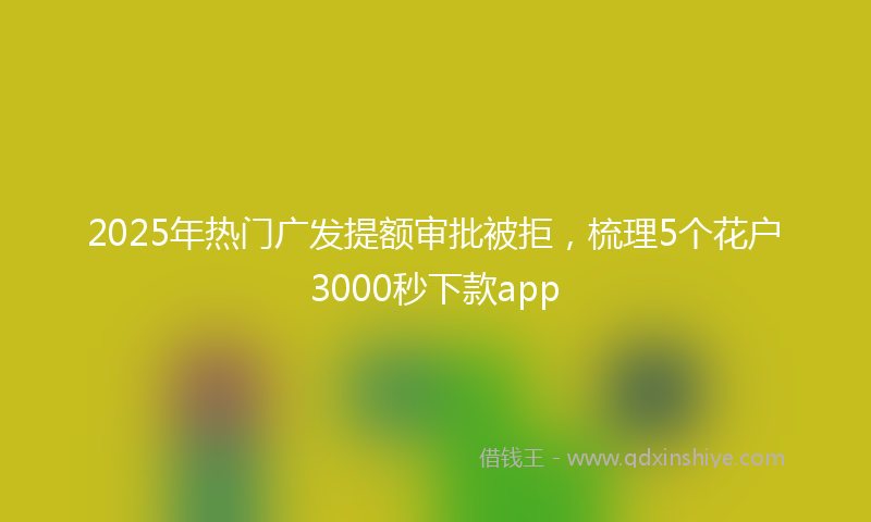 2025年热门广发提额审批被拒，梳理5个花户3000秒下款app