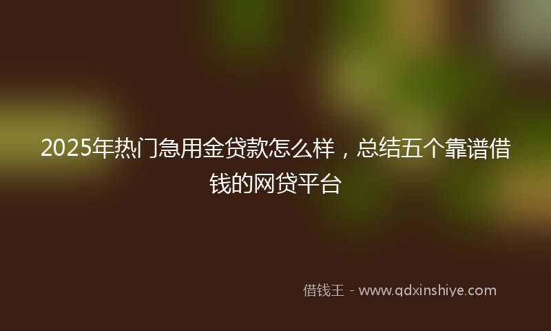 2025年热门急用金贷款怎么样，总结五个靠谱借钱的网贷平台