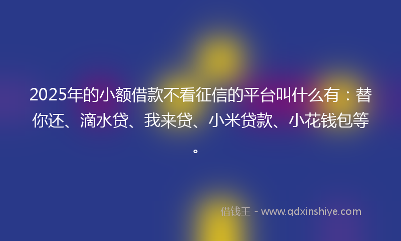 2025年的小额借款不看征信的平台叫什么有：替你还、滴水贷、我来贷、小米贷款、小花钱包等。