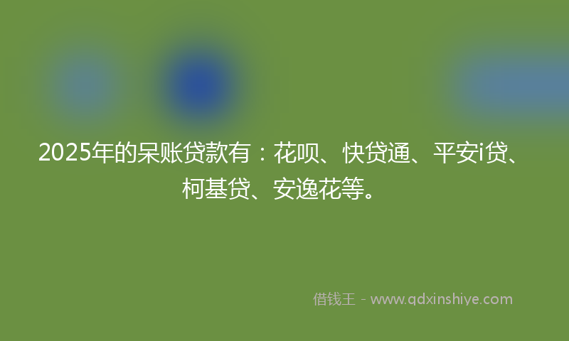 2025年的呆账贷款有：花呗、快贷通、平安i贷、柯基贷、安逸花等。