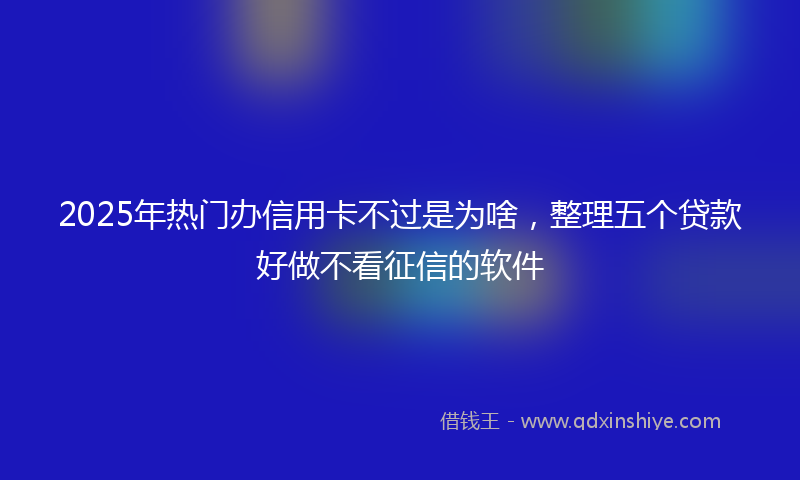 2025年热门办信用卡不过是为啥，整理五个贷款好做不看征信的软件