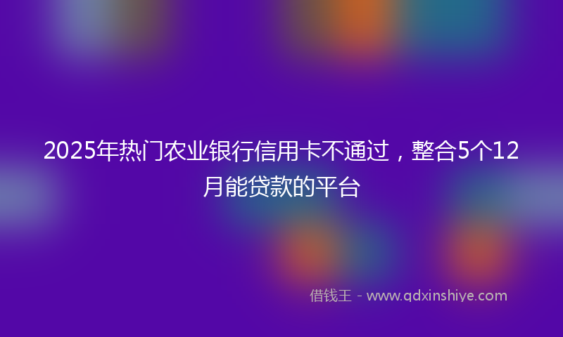 2025年热门农业银行信用卡不通过，整合5个12月能贷款的平台