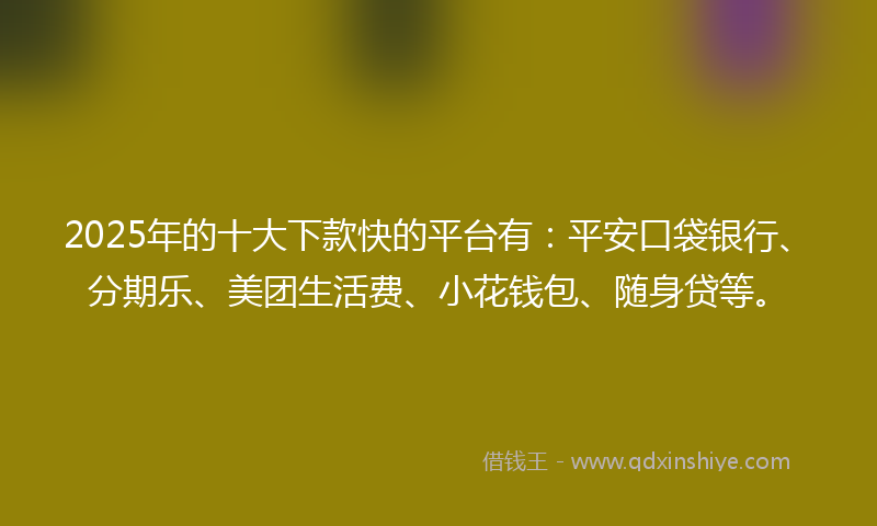 2025年的十大下款快的平台有：平安口袋银行、分期乐、美团生活费、小花钱包、随身贷等。