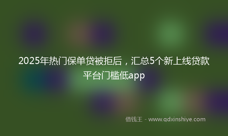 2025年热门保单贷被拒后，汇总5个新上线贷款平台门槛低app