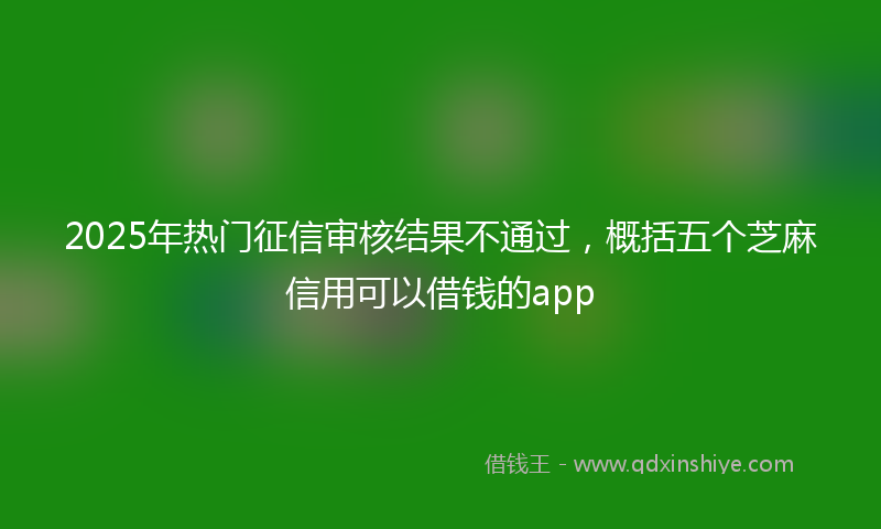 2025年热门征信审核结果不通过，概括五个芝麻信用可以借钱的app