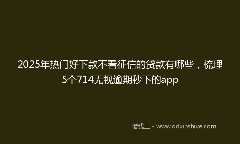 2025年热门好下款不看征信的贷款有哪些，梳理5个714无视逾期秒下的app