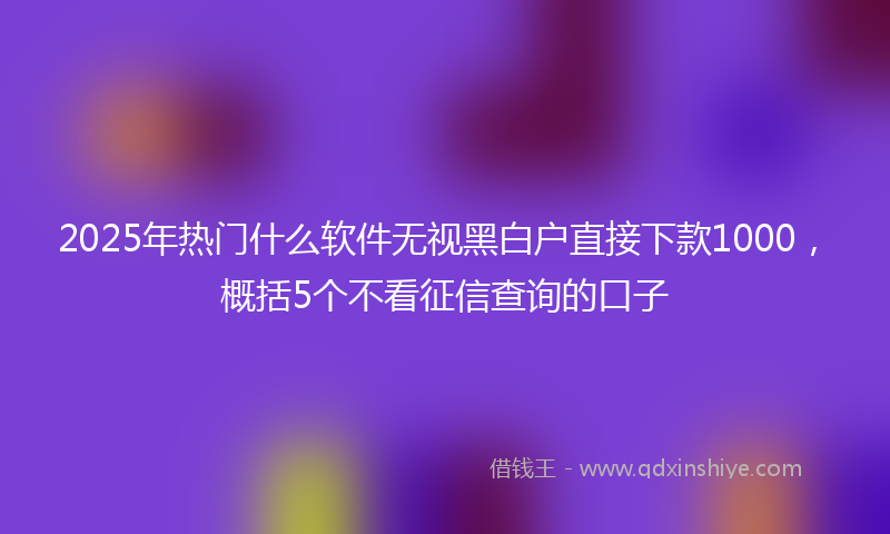 2025年热门什么软件无视黑白户直接下款1000，概括5个不看征信查询的口子