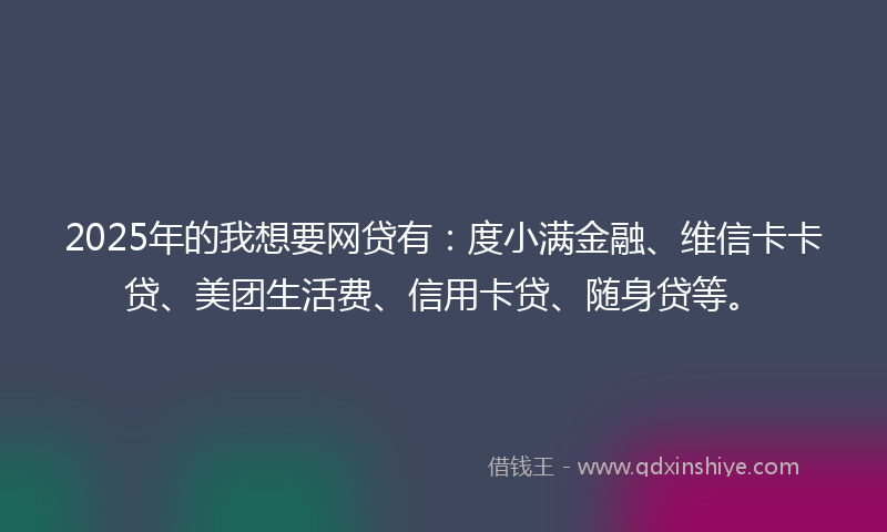 2025年的我想要网贷有：度小满金融、维信卡卡贷、美团生活费、信用卡贷、随身贷等。