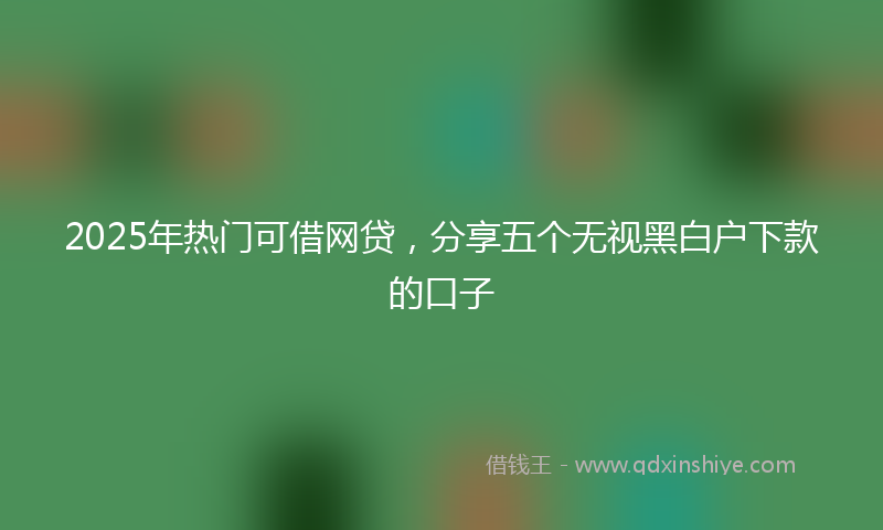 2025年热门可借网贷，分享五个无视黑白户下款的口子
