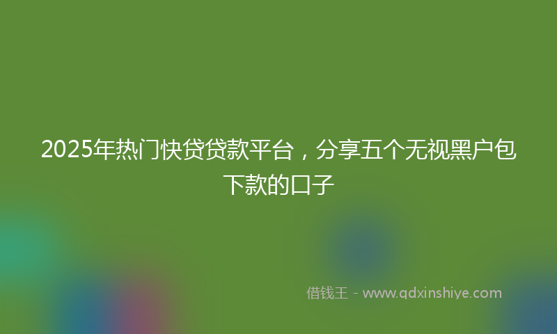 2025年热门快贷贷款平台，分享五个无视黑户包下款的口子