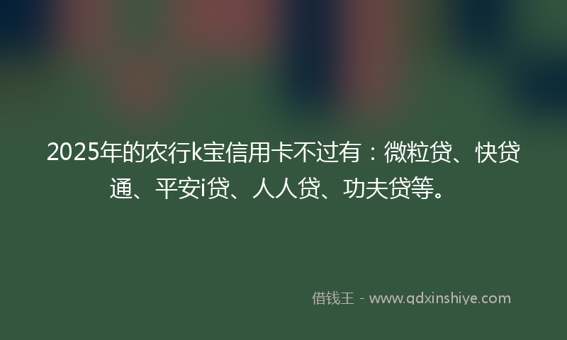 2025年的农行k宝信用卡不过有：微粒贷、快贷通、平安i贷、人人贷、功夫贷等。