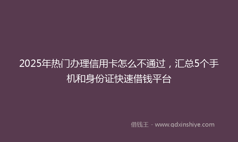 2025年热门办理信用卡怎么不通过，汇总5个手机和身份证快速借钱平台