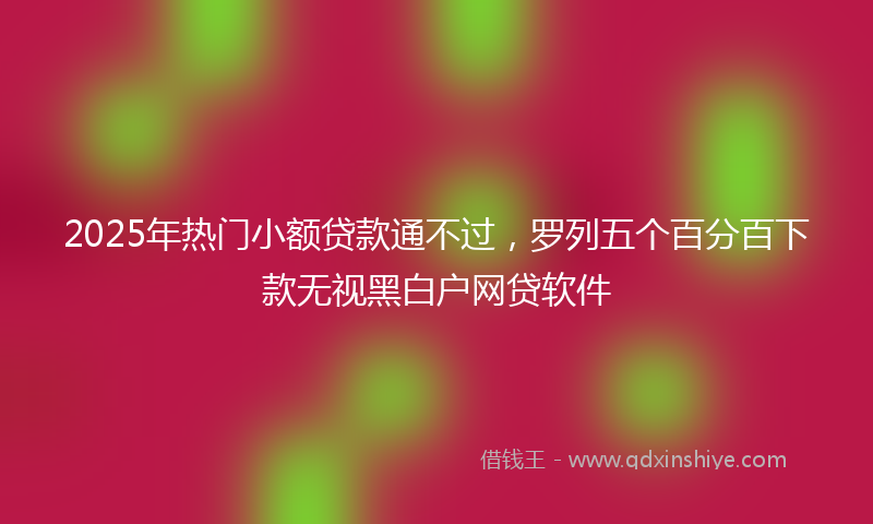 2025年热门小额贷款通不过，罗列五个百分百下款无视黑白户网贷软件