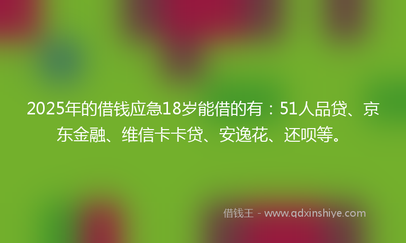 2025年的借钱应急18岁能借的有：51人品贷、京东金融、维信卡卡贷、安逸花、还呗等。