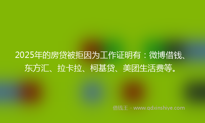 2025年的房贷被拒因为工作证明有：微博借钱、东方汇、拉卡拉、柯基贷、美团生活费等。