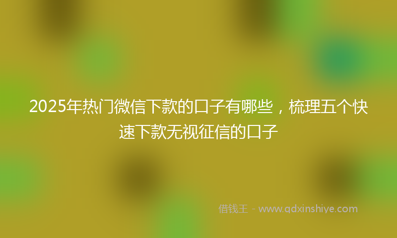 2025年热门微信下款的口子有哪些，梳理五个快速下款无视征信的口子