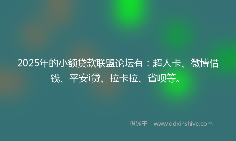 2025年的小额贷款联盟论坛有：超人卡、微博借钱、平安i贷、拉卡拉、省呗等。
