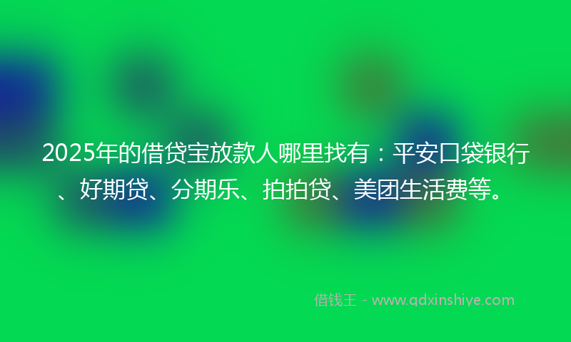 2025年的借贷宝放款人哪里找有：平安口袋银行、好期贷、分期乐、拍拍贷、美团生活费等。