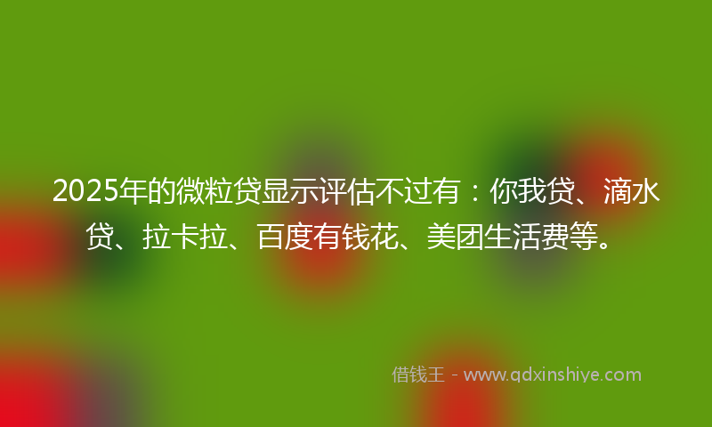 2025年的微粒贷显示评估不过有：你我贷、滴水贷、拉卡拉、百度有钱花、美团生活费等。