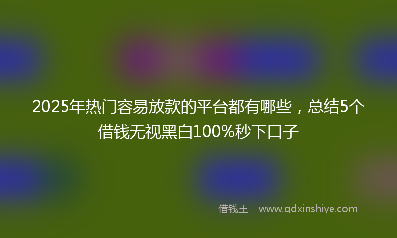 2025年热门容易放款的平台都有哪些，总结5个借钱无视黑白100%秒下口子