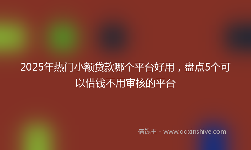 2025年热门小额贷款哪个平台好用，盘点5个可以借钱不用审核的平台
