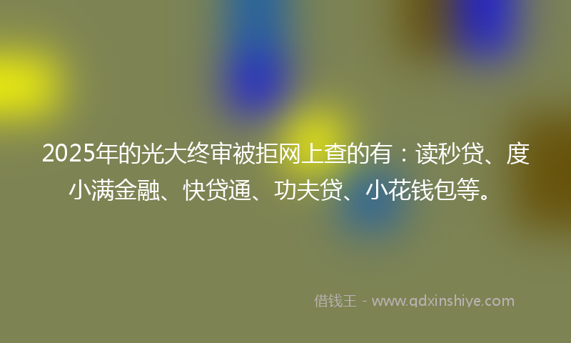 2025年的光大终审被拒网上查的有：读秒贷、度小满金融、快贷通、功夫贷、小花钱包等。