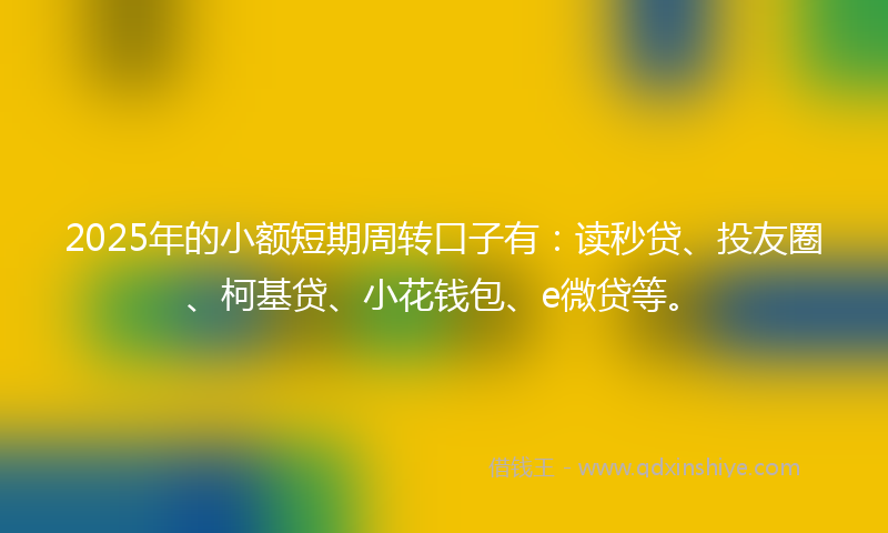 2025年的小额短期周转口子有：读秒贷、投友圈、柯基贷、小花钱包、e微贷等。