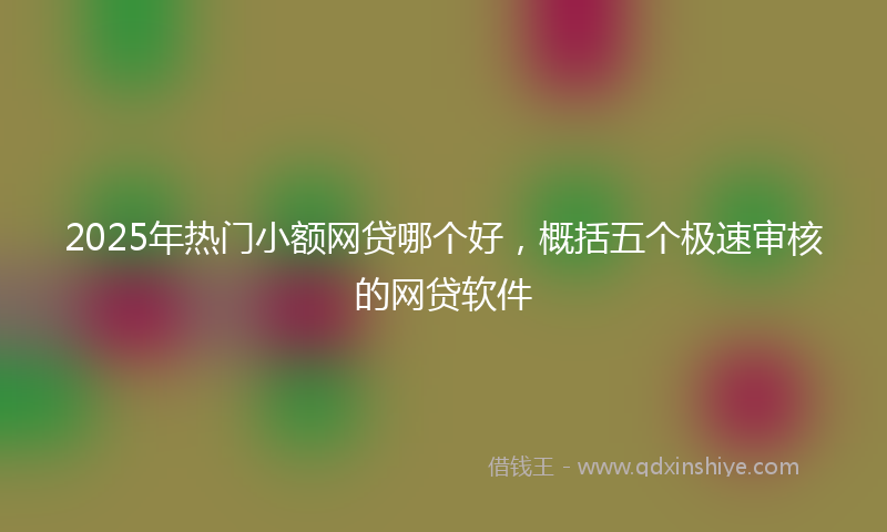 2025年热门小额网贷哪个好，概括五个极速审核的网贷软件